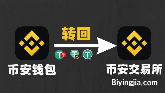 币安Web3钱包USDT转回交易所:3条链操作全解析!BEP20/ERC20/TRC20 提现与Gas费避坑指南